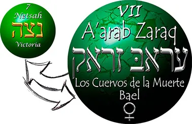 Qlifot A'arab Zaraq